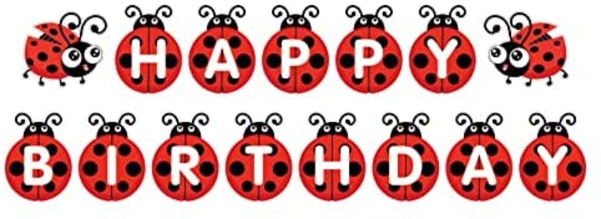 Ladybug Theme Birthday Party Supplies Ladybug "Happy Birthday" Banner.